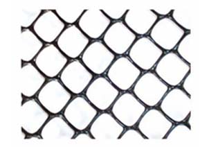 �����W(w��ng)